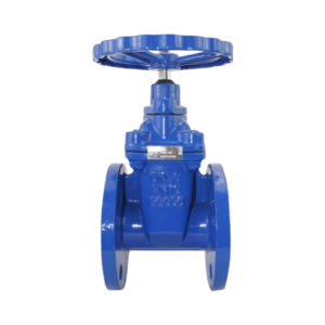 Gate Valve Cast Iron Flange