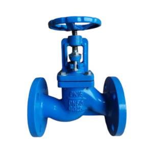 Globe Valve Steam Cast Iron Flange